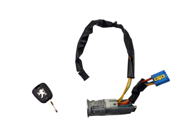 Commutateur D’allumage Peugeot 206 N0501539 4162Z1 Valeo 1209