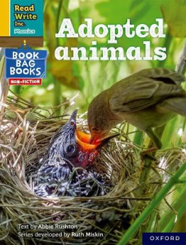 READ WRITE INC. Phonics: Yellow Set 5 NF Book Bag Book 1 Adopted ...