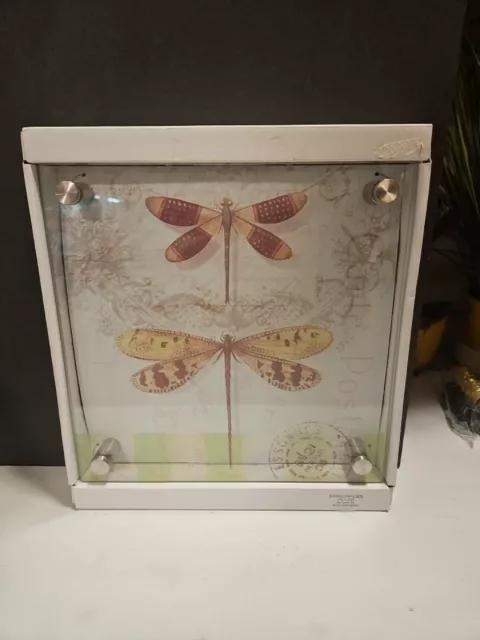 New View Plate Glass Wall Art Dragonflies Transparent Shadow Art  12" x 12" x 1"