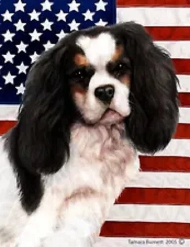 Patriotic (D2) House Flag - Tri Cavalier King Charles Spaniel II