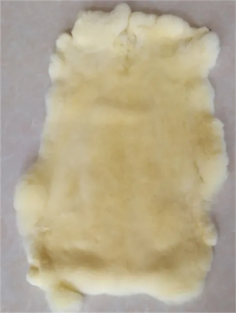 1PCS Beige REX Rabbit Skin Real Fur Pelt for Animal Training Crafts Fly Tying