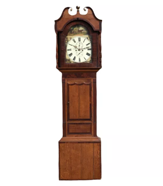 Georgian Oak Grandfather Clock. V Dold, Inverness, 8 Day.