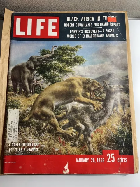 Life Magazine, January 26, 1959, Darwin's Discovery, Saber-toothed Cat