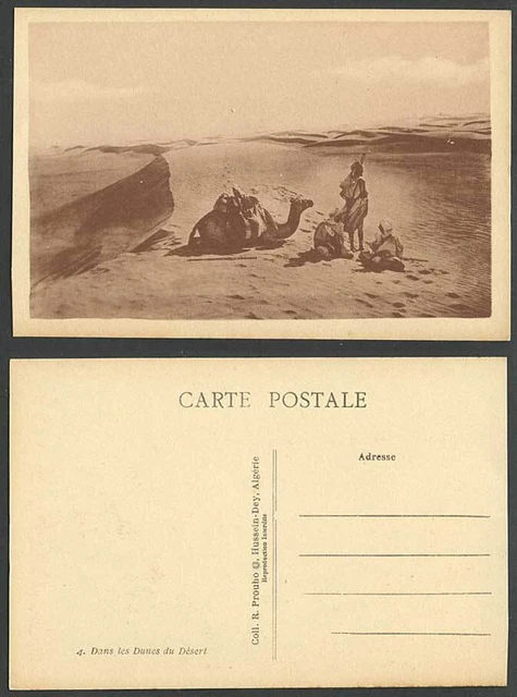Algerien alte Postkarte in den Wüstendünen, einheimische Kamelruhe, Sanddünen