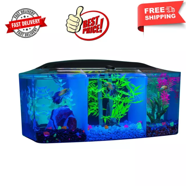 3 Gallon Betta Trilogy Fish Tank Aquarium with LED Lights and Filter Water Tank