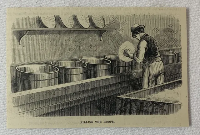 1880 magazine engraving ~ CHEESE MAKING - FILLING THE HOOPS