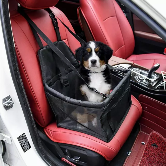 Panier Porte Siège Chien Chat Animaux de Transport Voiture Pour Siège Laisse