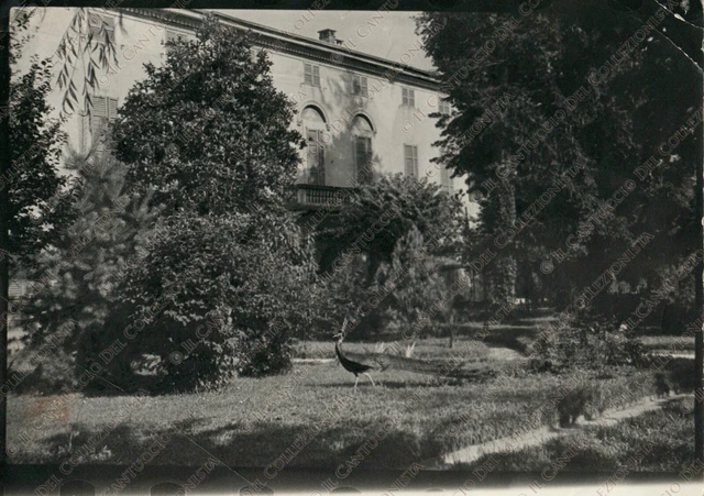CARAVAGGIO Casa Zibetti Villa Rocchi giardino con pavone Bergamo Fotografia
