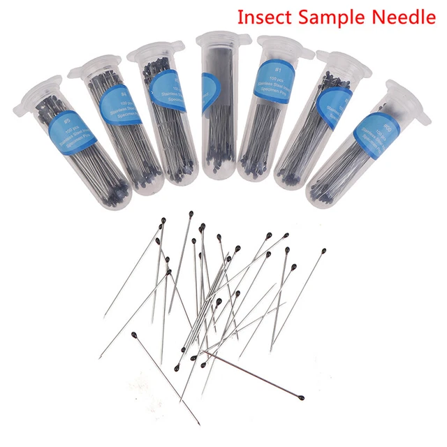 100 pz perni per insetti campione ago acciaio inox per entomologia del laboratorio scolastico Sg
