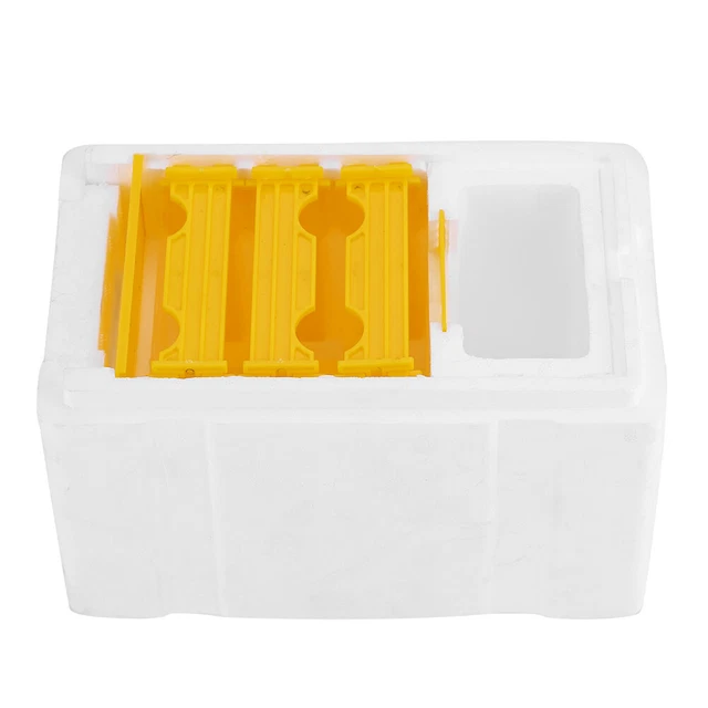 Cosecha Abeja Cosecha Abeja Apicultura Rey Caja Polinización