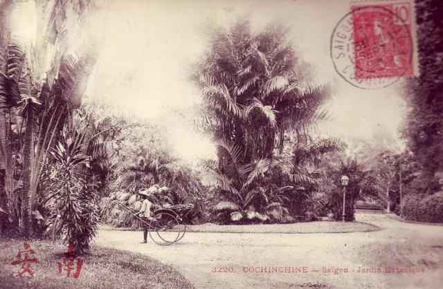 B3129+ Cpa Cochinchine  Saïgon Jardin  Botanique