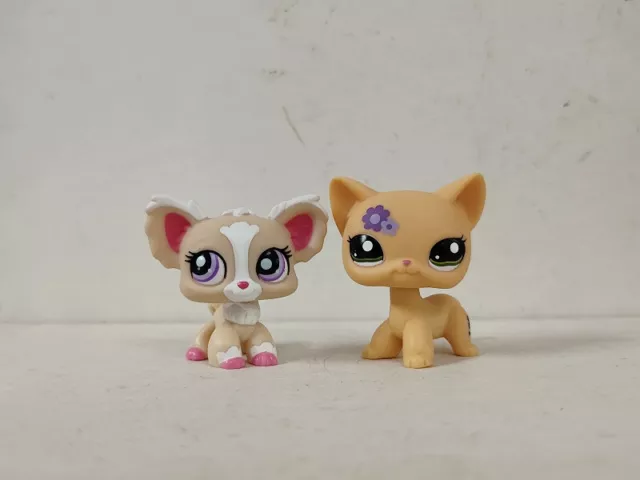 2pcs/lot LPS Toys Littlest Pet Shop Cat Chihuahua Dog #1892#1962 Animal Figures