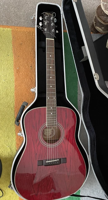 WASHBURN D11 TR ACOUSTIC guitar Hard Case 100.00 PicClick UK