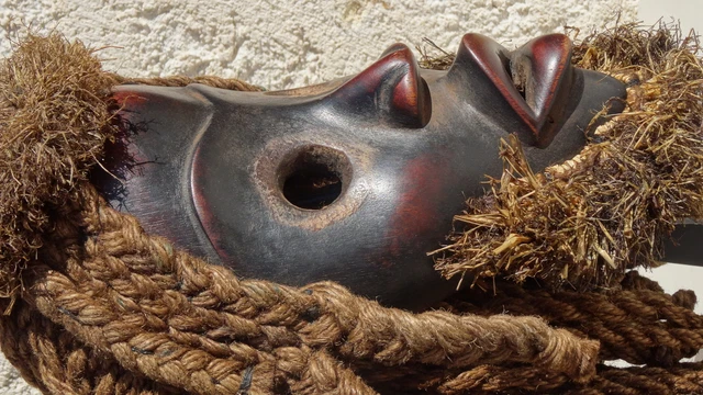 Mask DAN DEANGLE 28 cm Ivory Coast African Art 5