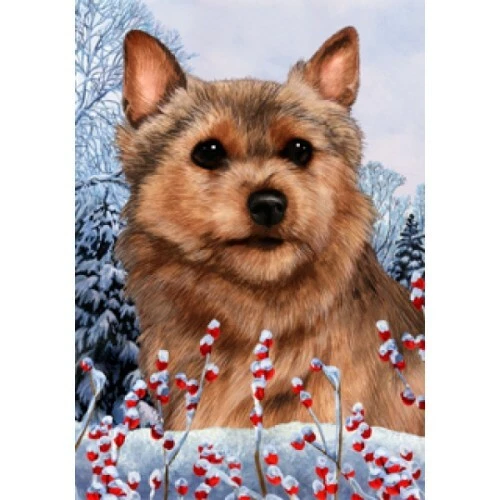 Winter Garden Flag - Norwich Terrier 151521