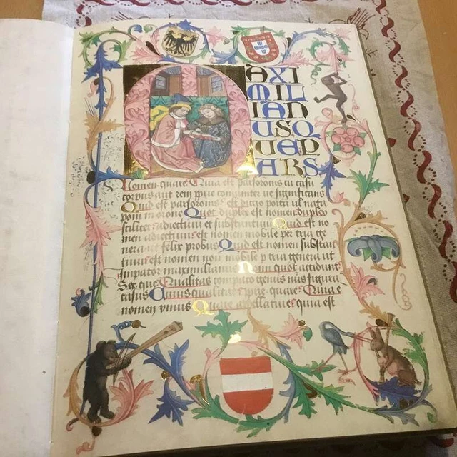 EIN LEHRBUCH FÜR MAXIMILIAN I. CODEX 2617 der Österr. Nationalbibliothek