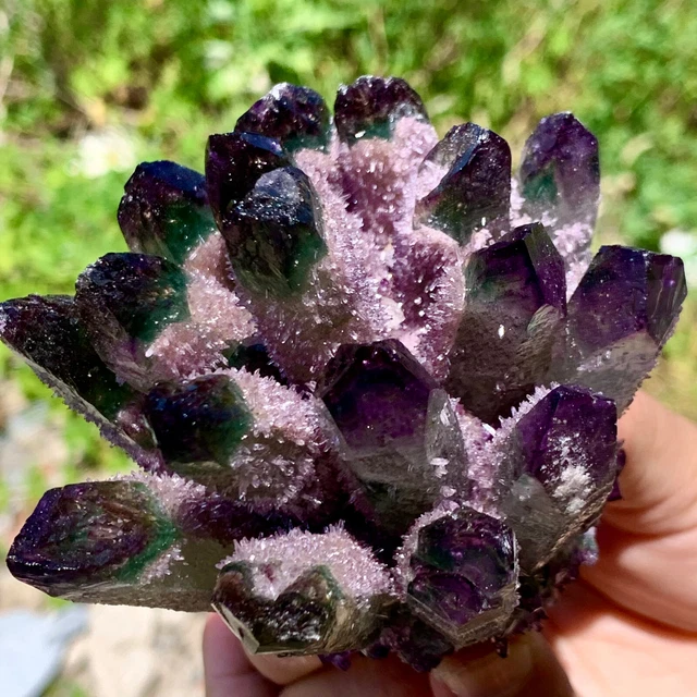 467G New Find PURPLE PhantomQuartz Crystal Cluster MineralSpecimen