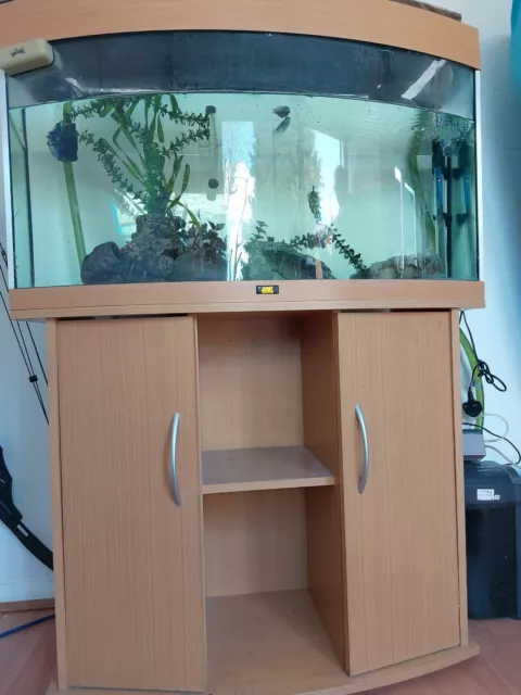 fish tank and stand used
