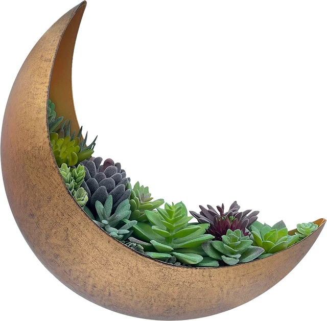 Wall Mounted Metal Moon Planter - Hanging Crescent Pot for Succulents, Air Plant