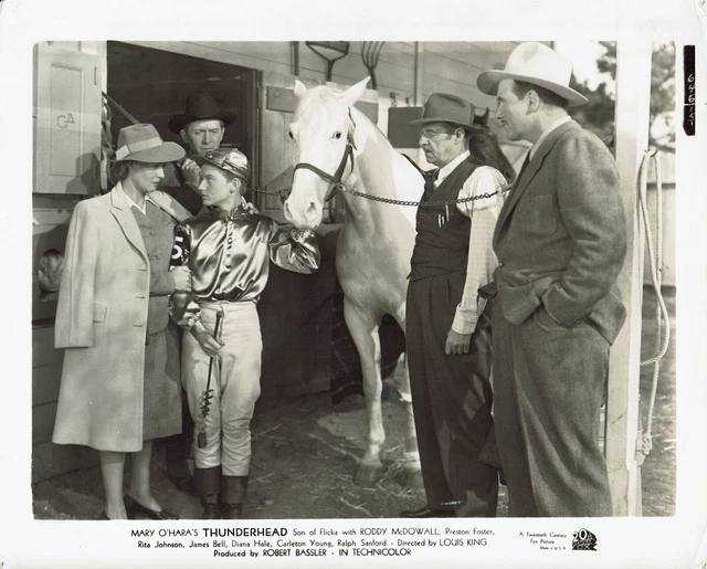 Roddy McDowall Thunderhead original Vintage photograph 10 x 8 Roddy McDowall Thunderhead original Vintage photograph 10 x 8