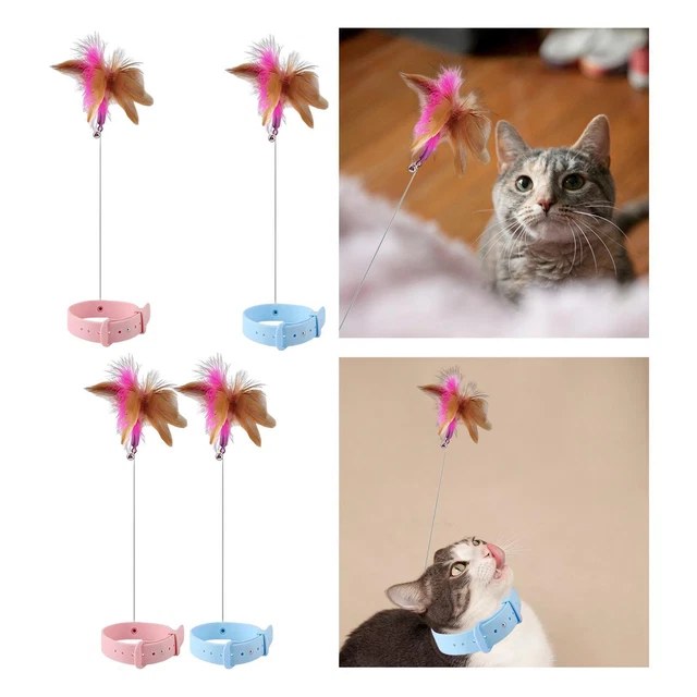 Teaser de chat avec collier de cloche Jouet interactif Chats d'intérieur