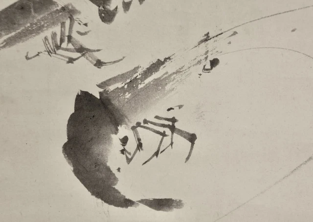 Japan Spring scroll Ebi shrimps 1900 shrimp Sumi-e ink art 3