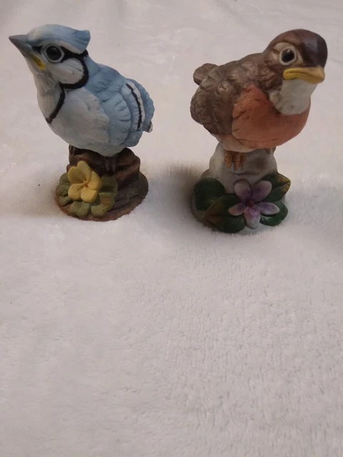 Baby Blue Jay  Robin  Andrea by Sadek Porcelain Realistic Birds FigurineJapan 4"