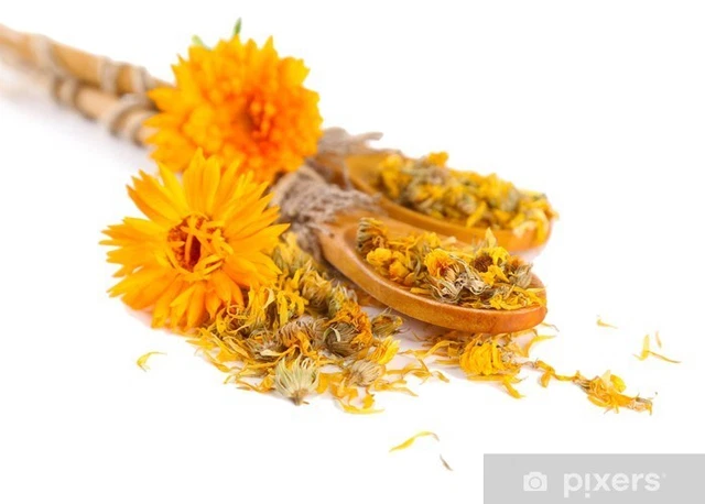 Calendula Flower (Dried) - Calendula officinalis