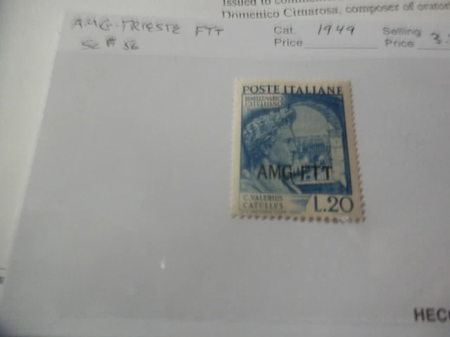 AMG Italy/ Trieste FTT 1949  Sc # 56   MNH VF