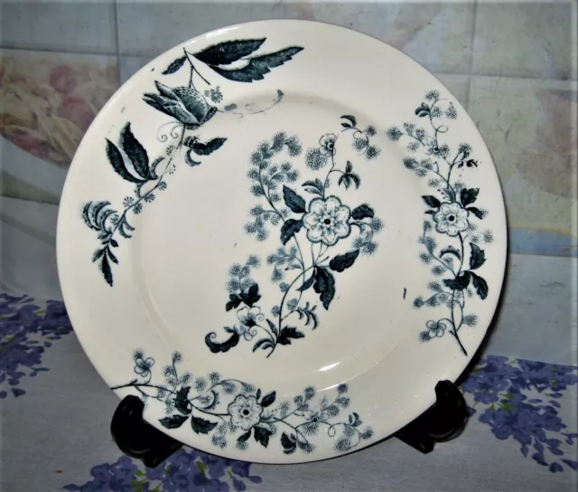 assiette ancienne céramique Longwy décor "Ycho"