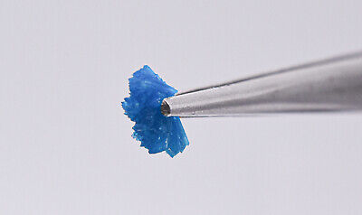 Fossil 0.5ct 9mm Cavansite Fleur Cluster Naturel Pierre Gemme Cristal Minérale Indi 