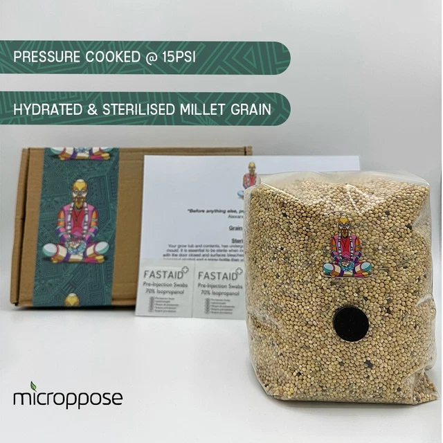 MILLET GRAIN BAG 500g 1.5KG For Mushroom Growing Spawn Hydrated