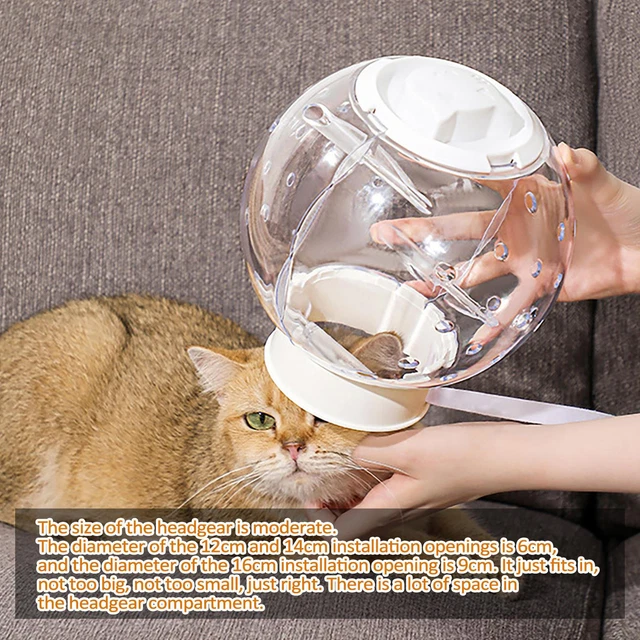 Cat Muzzle Transparent Durable Anti Bite Cat Mouth Cover Helmet Muzzle Cat Space 2