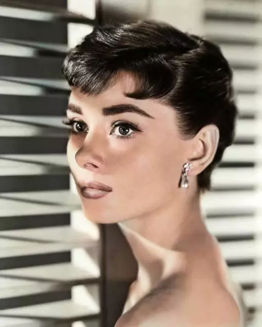 Audrey Hepburn 8x10 RARE COLOR Photo 606