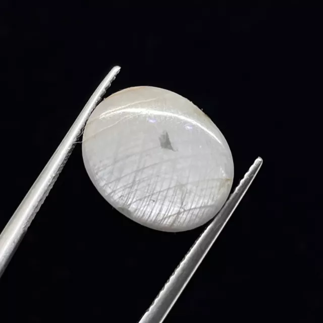 15.60 Cts Unheated Natural Silver Grey Sapphire 15x12mm Oval Cabochon Gemstone