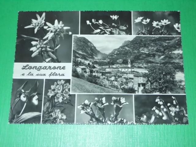 Cartolina Longarone ( Belluno ) - Vedute diverse 1964