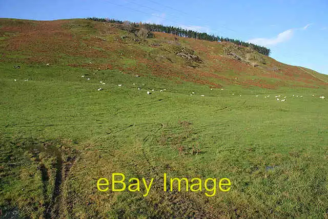 Photo 6x4 Grazing sheep below Boyken Craigs Bentpath Viewed from the B709 c2008