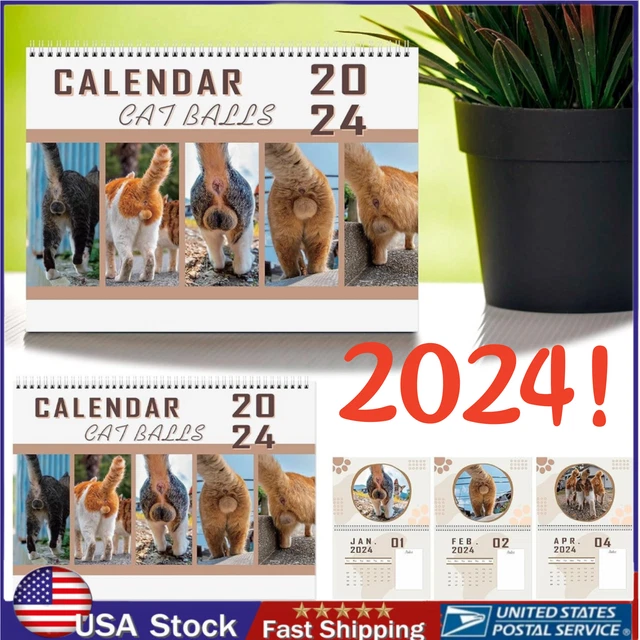 FUNNY CATS CALENDAR, 2024 Monthly Wall Hanging Calendars For Cats