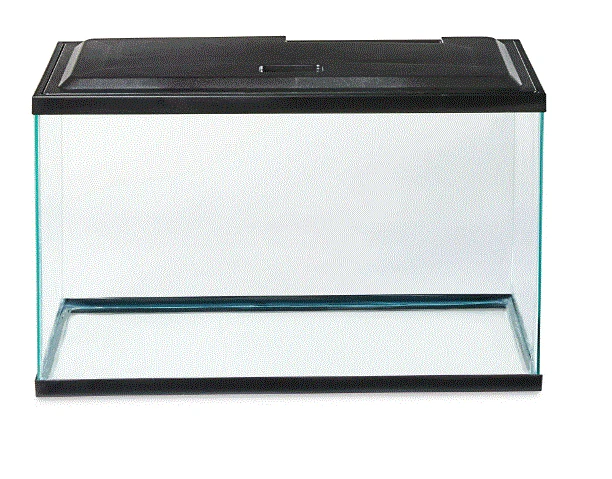 10-Gallon Glass Aquarium Starter Kit