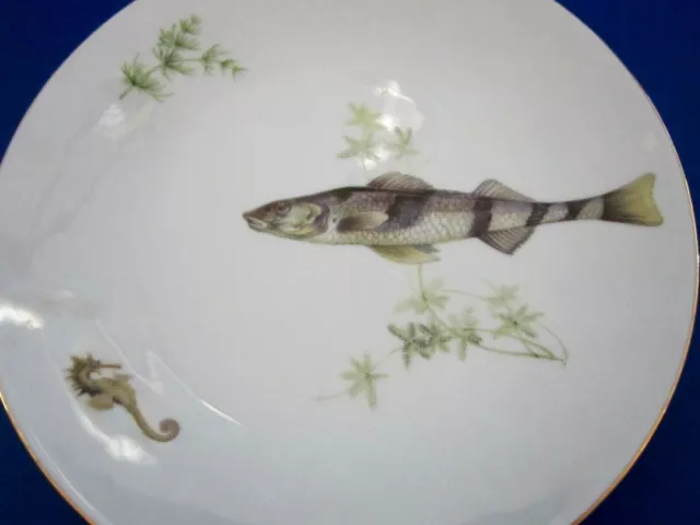 Bareuther Waldsassen Fish Seahorse Plate Bavaria Germany Plate Vtg Porcelain 8"