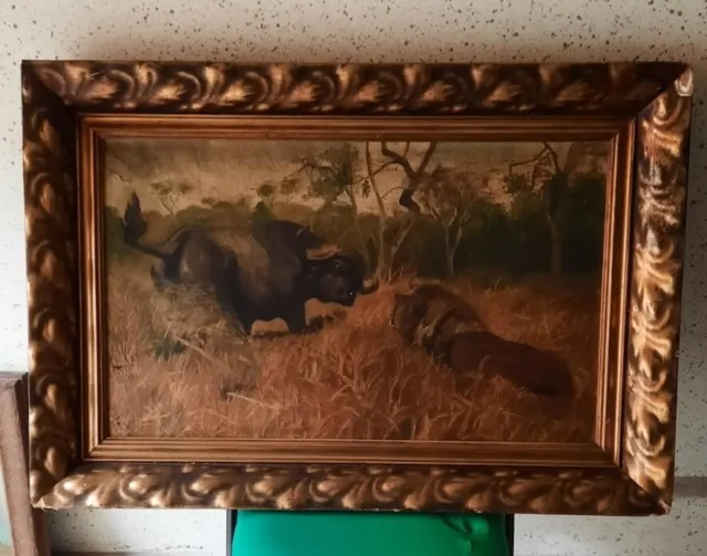 Antik  Ölgemälde Büffel Und Löwe Vor Dem Kampf