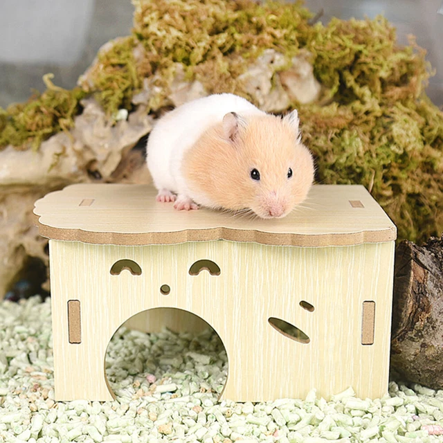 kleine hamster käfig decor für ausbildung hamster käfig schmücken 7