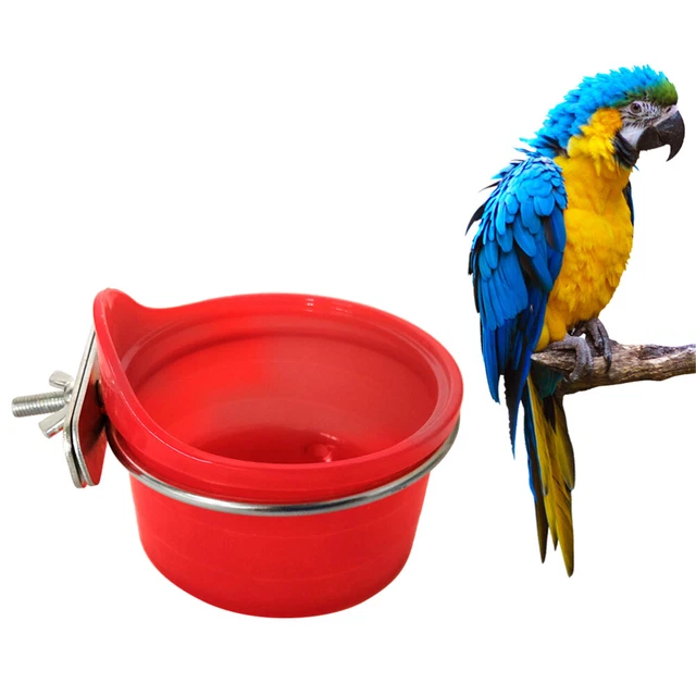 Fournitures pour oiseaux Multifonction Perroquet Mangeoire À Oiseaux Abreuvoir 2