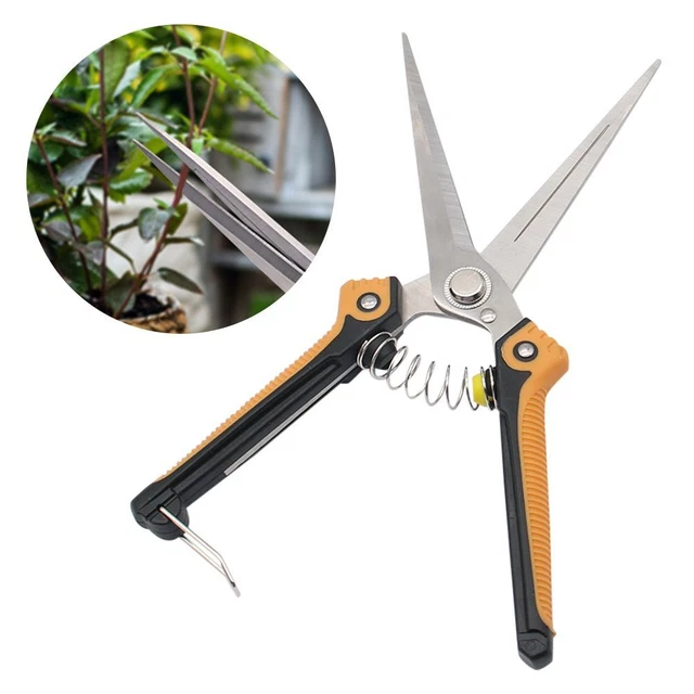 greffage Outil de greffage de jardin Cisailles d'élagage Ciseaux de jardin