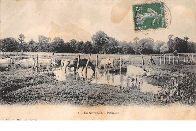 58. n°205715. en nivernais. paturage