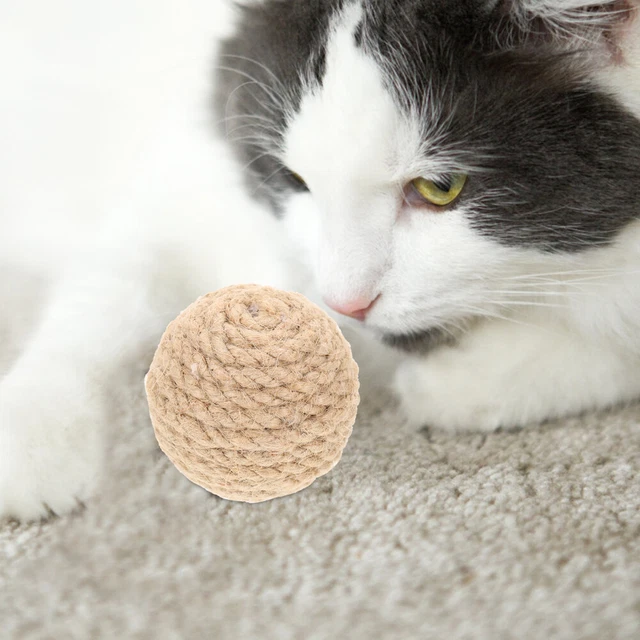 4 Pcs Cat Training Toy Catnip Cat Scratch Indoor Toys Sports Toys Kitten 6