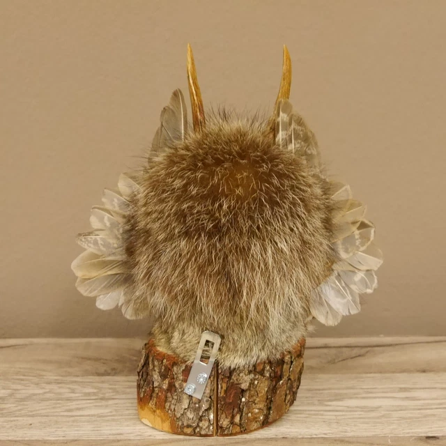 Pequeño Wolpertinger Preparado Taxidermy Con Azul Claro Ojos Y Ala #86.2.95 3