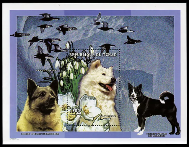 ELKHOUND NORWEGIAN SAMOYED Karelian Bear Dog Postage Stamp Souvenir Sheet Chad
