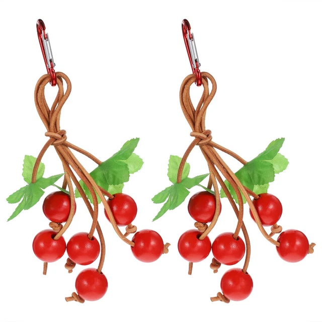 2 Pcs Jouets D'escalade Pendentif Cage À Oiseaux Jouets À Mordre