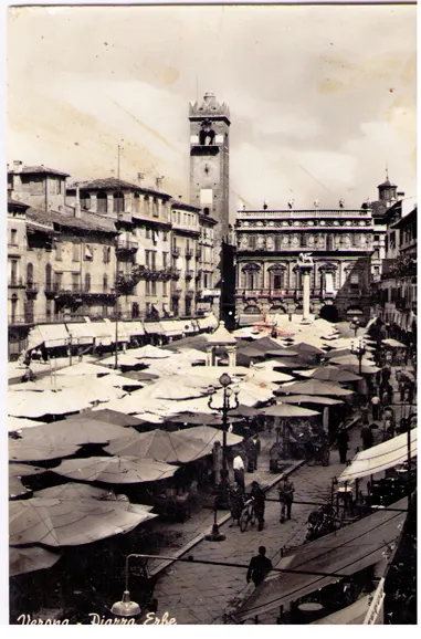 Cartolina Veneto - Verona 6760 - Piazza Erbe